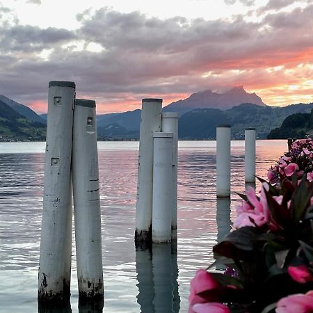 Ferienwohnungen Mit 4 Betten In Gersau Direkt Am Vierwaldstaettersee Εξωτερικό φωτογραφία