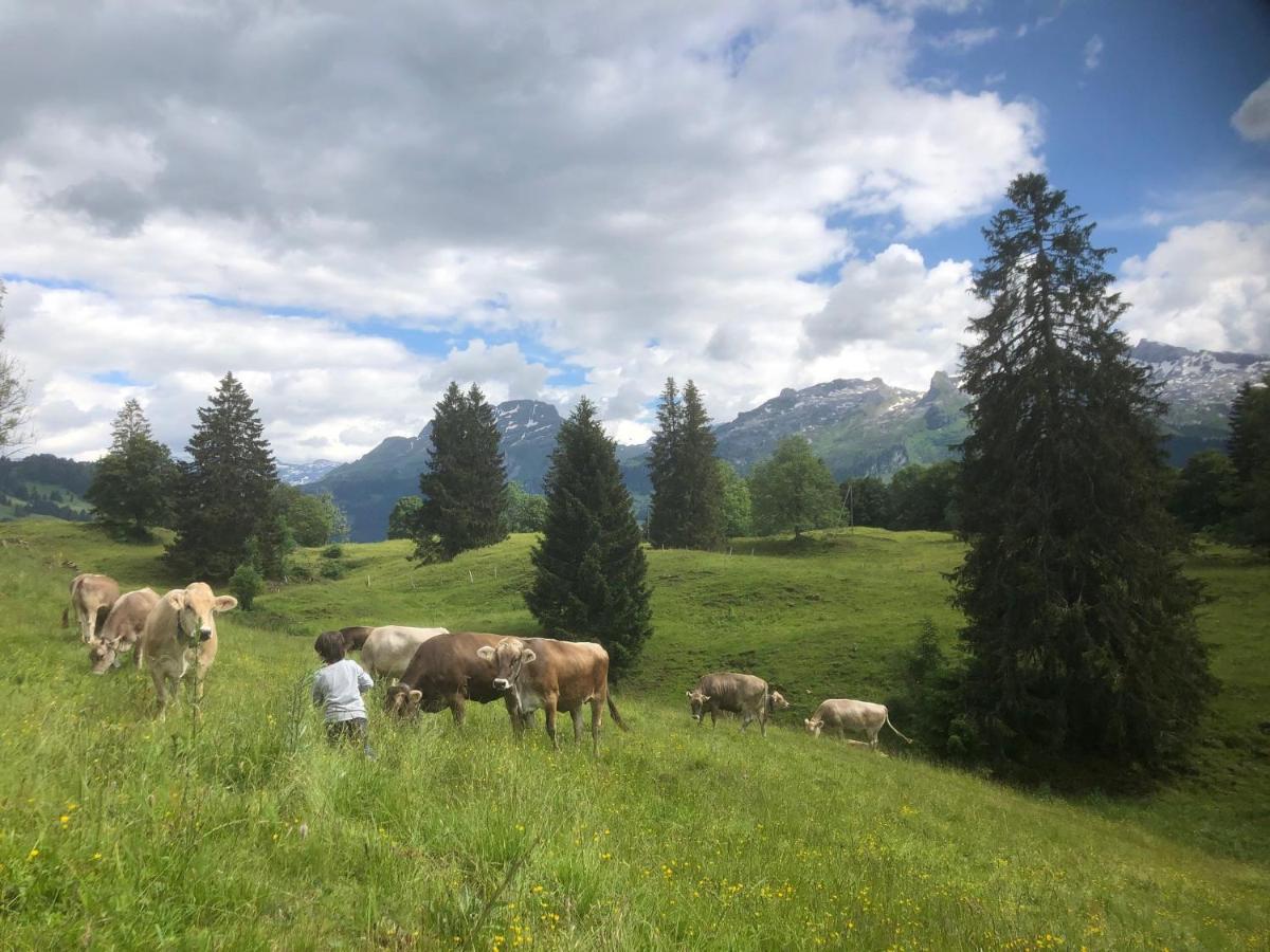 Ferienwohnungen Mit 4 Betten In Gersau Direkt Am Vierwaldstaettersee Εξωτερικό φωτογραφία