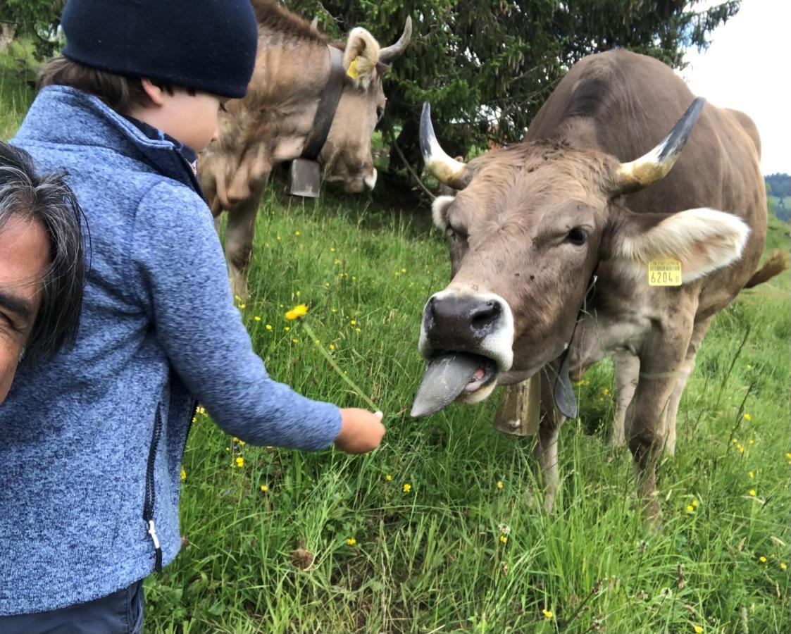 Ferienwohnungen Mit 4 Betten In Gersau Direkt Am Vierwaldstaettersee Εξωτερικό φωτογραφία